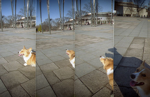 ToyCamera SuperSampler