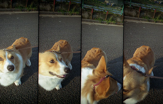 ToyCamera SuperSampler