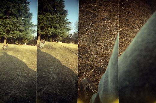 ToyCamera SuperSampler