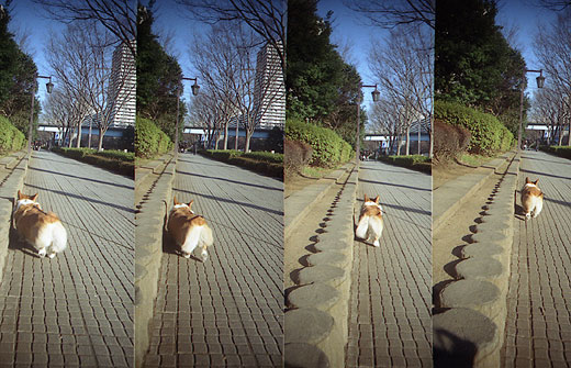ToyCamera SuperSampler