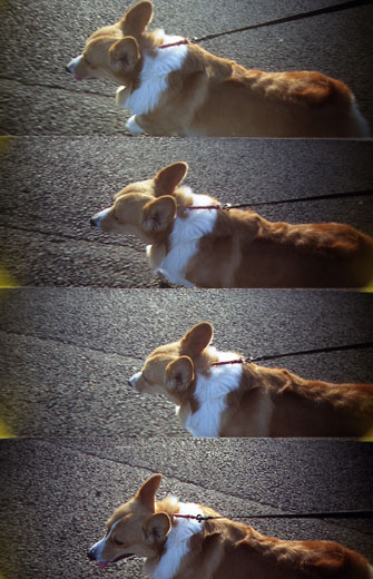 ToyCamera SuperSampler